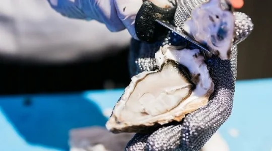 next2 cafe